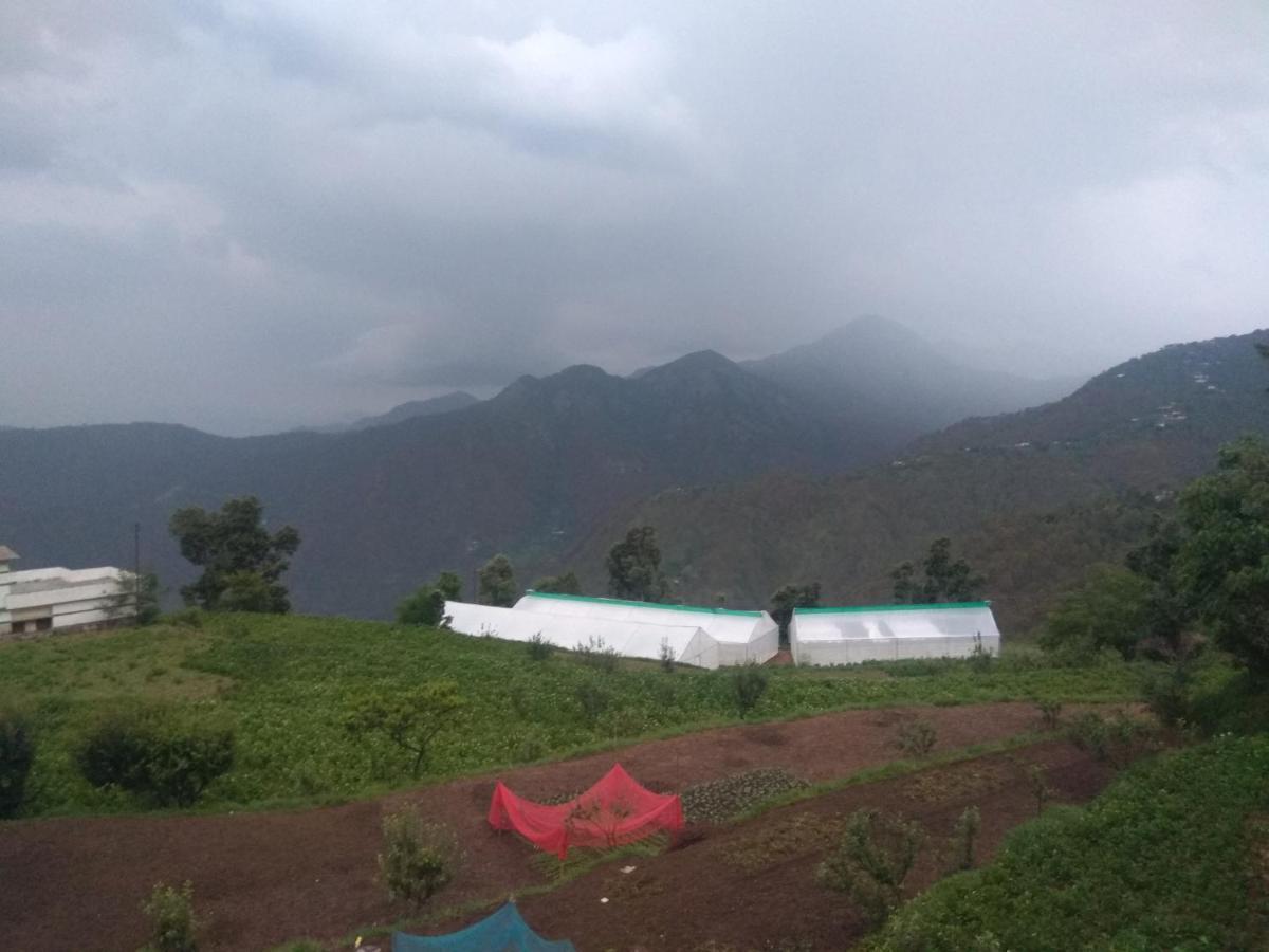 Green View Resort New Tehri Εξωτερικό φωτογραφία